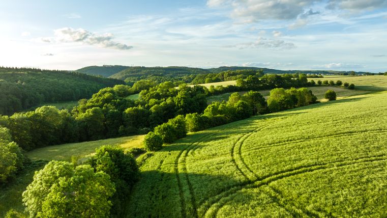 Paysage avec des champs et des forêts verts sous un ciel bleu avec des nuages.