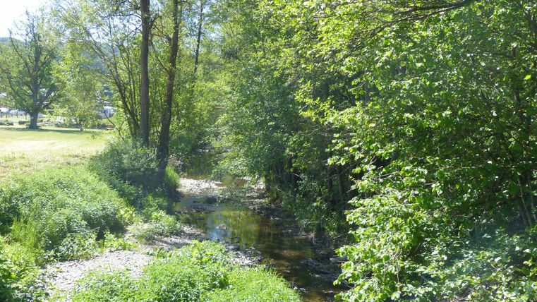 The river in focus and numerous trees on the banks. In the background a meadow with benches, cars and houses