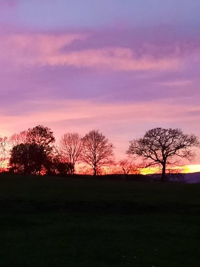 Een mooie zonsondergang met heldere kleuren aan de lucht. Silhouetten van bomen zijn op de voorgrond te zien.