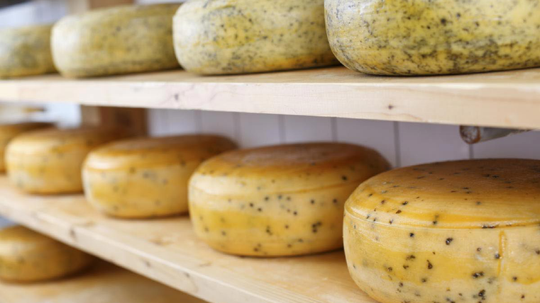 Plusieurs fromages sont posés sur des planches dans une armoire - le fromage est légèrement ponctué.