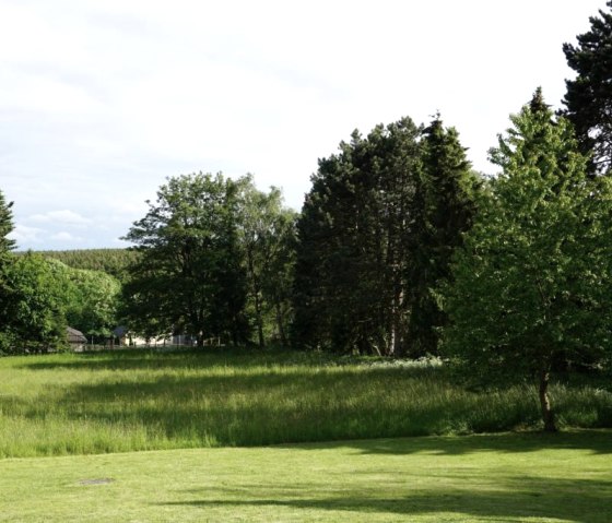 View of the garden