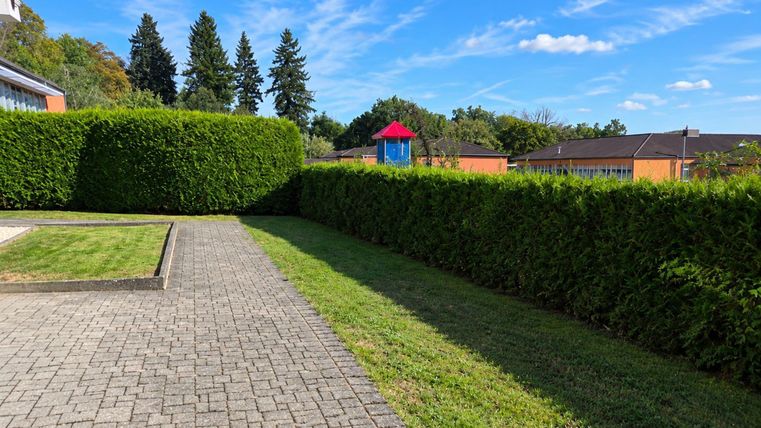A paved area with green grass and tall hedges. In the background, buildings and a playground can be seen.
