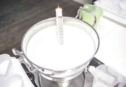 Goat's milk in the cauldron at the start of the cheese school