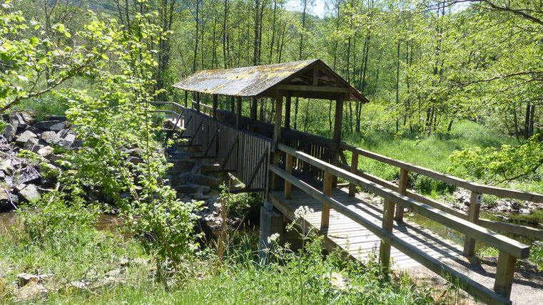 A covered wooden bridge over the river surrounded by greenery