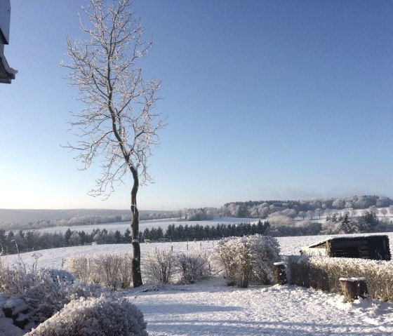 A feast for the eyes even in winter