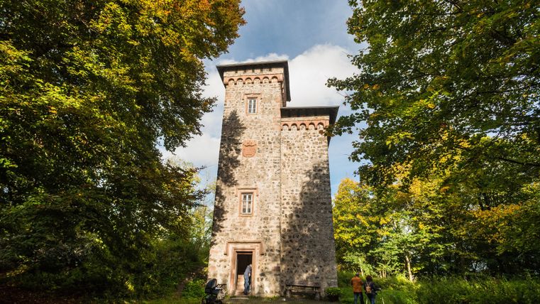 Toren van het Arenbergkasteel en paleisruïne omringd door bomen.