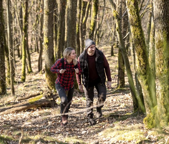 Traverser des forêts authentiques en se promenant sur la route Nat'Our 1, © Eifel Tourismus GmbH, D. Ketz