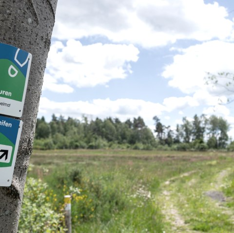 Signposting, Eifelspur Heideheimat, © Nordeifel Tourismus GmbH
