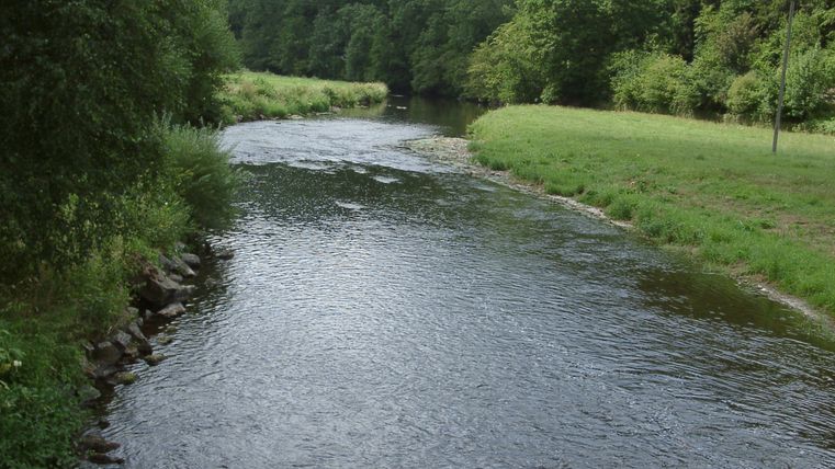La rivière Kyll avec ses rives verdoyantes et ses arbres en arrière-plan.