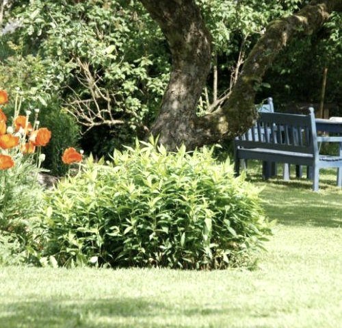 Garten, © Valet & Nordeifel Tourismus GmbH