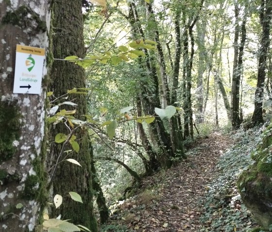 A narrow forest path with a 'Bitburger LandGänge' sign on a tree. The path is surrounded by trees and moss., © TI Bitburger Land