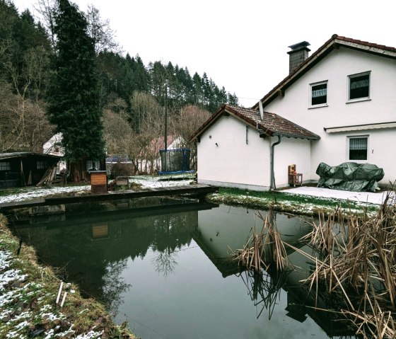 IMG-20250109-WA0024