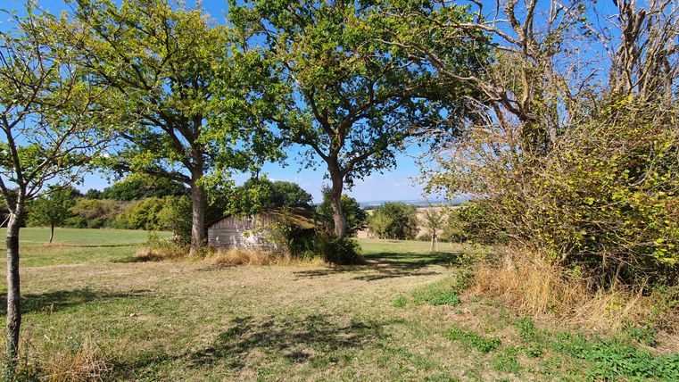 Een kleine hut staat tussen twee grote bomen in een weiland, omringd door struiken en bomen onder een blauwe hemel.