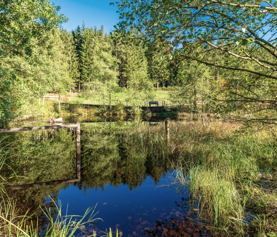 EIfelSchleife Moorpfad_3, © Nordeifel Tourismus GmbH, Paul Meixner