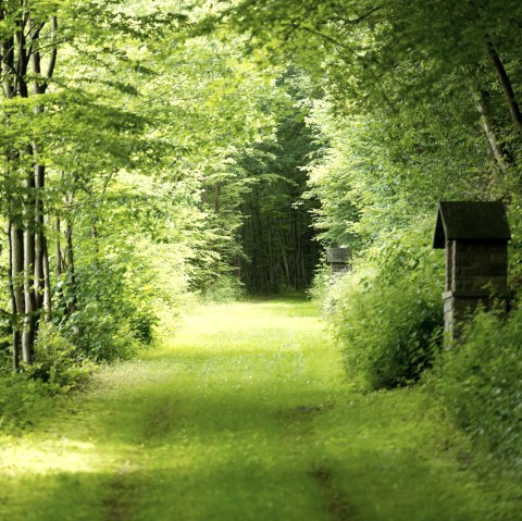 Sentier de l'AhrSteig Schuld, © Ahrtaltourismus e.V.