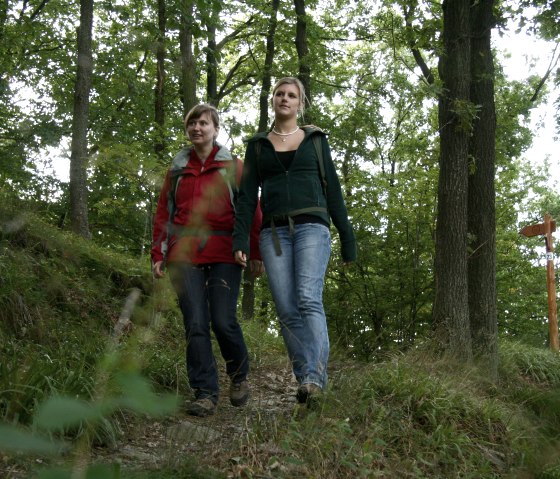 Randonnée sur le Wildnis-Trail, © Guido Priske