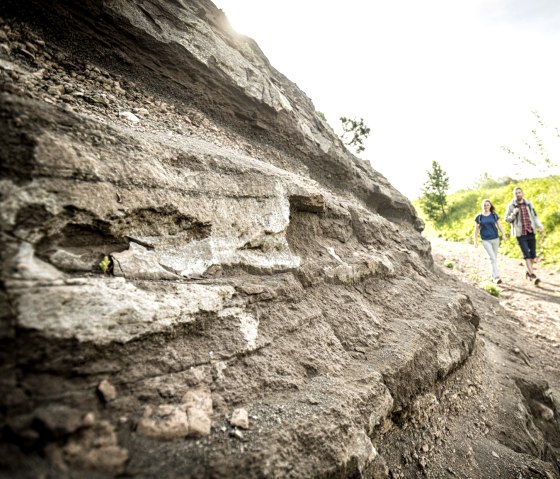 Randonnée sur le sentier des volcans : Roches volcaniques au Steffelnkopf, © Eifel Tourismus GmbH, D. Ketz