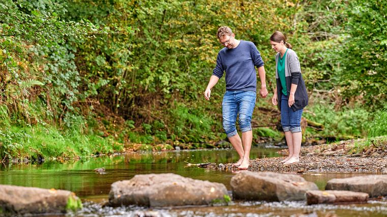 Two people walk barefoot through a shallow stream in a green forest landscape.