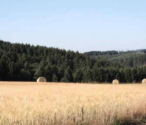 20 Herbstimpressionen