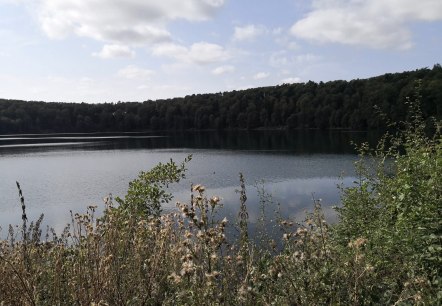 Ein Maar.... oder doch Kratersee?, © Foto & Quelle: Gesundland Vulkaneifel GmbH