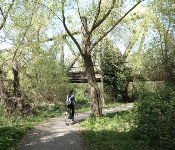 rond het meer2, © Düren Tourismus