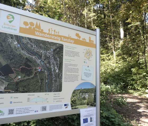 Start board of the Tanzlay hiking trail in Bitburger Land, surrounded by dense forest and a hiking trail., © Tourist Information Bitburger Land