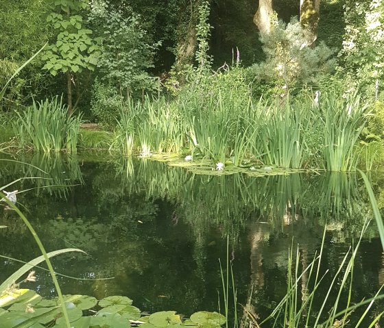 naturbelassener Schwimmteich - Biotop, © Rainer Putz