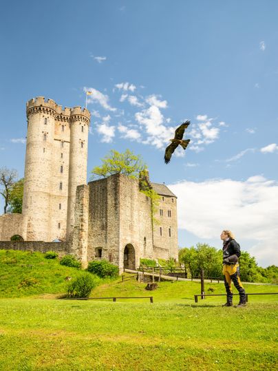 Person devant le Kasselburg à Pelm, un grand oiseau vole au-dessus. Ciel bleu avec quelques nuages.