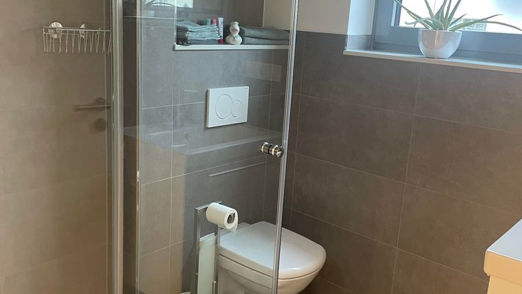 Ein modernes Badezimmer mit einer Glasdusche und einem weißen WC. Die Wände sind in neutralen Grautönen gehalten, und es gibt Fenster mit Pflanzen.