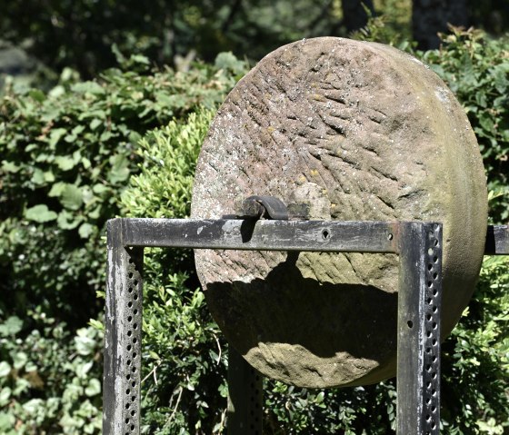 Impression Garten