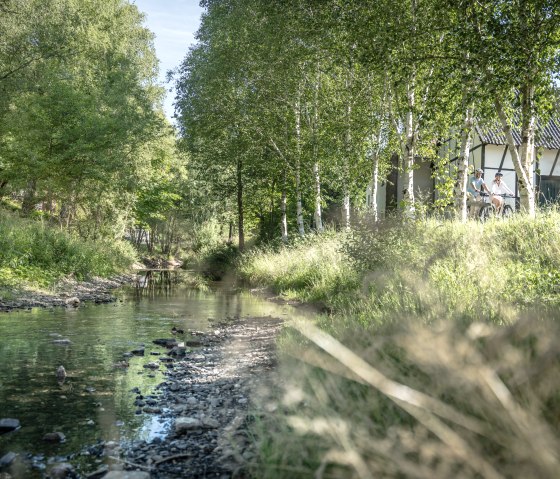 L'Urft accompagne en partie le sentier de découverte du pissenlit., © Eifel Tourismus GmbH, Dennis Stratmann