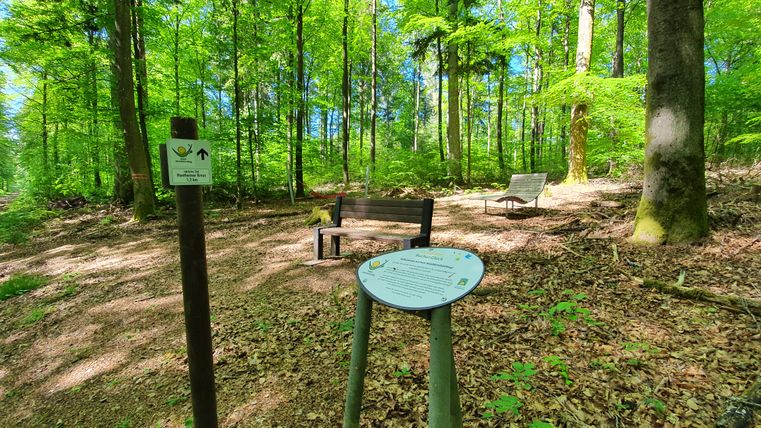Waldweg mit Bänken und Schildern im Grünen.