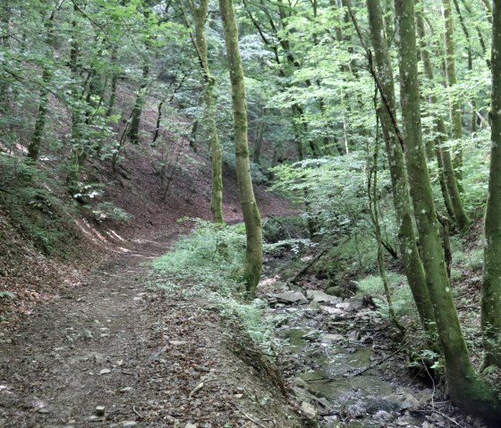 Klein beekje langs het wandelpad, © Tourist-Information Islek