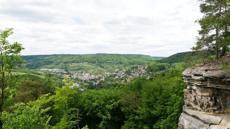 Vue sur Bollendorf depuis un point de vue avec des rochers et des arbres au premier plan.