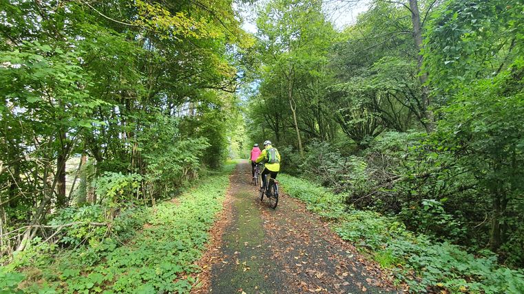 Deux cyclistes sur un chemin forestier dans la vallée de Nimstal-Prüm, entourés d'une épaisse verdure.