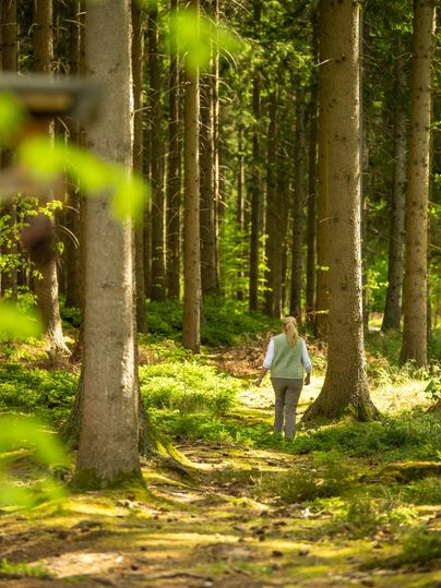 Une personne marche sur un chemin à travers une forêt calme.
Entourée de grands arbres et de lumière verte.
