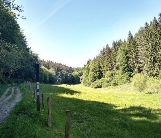 Hiking trail-51, © Gemeinde Simmerath