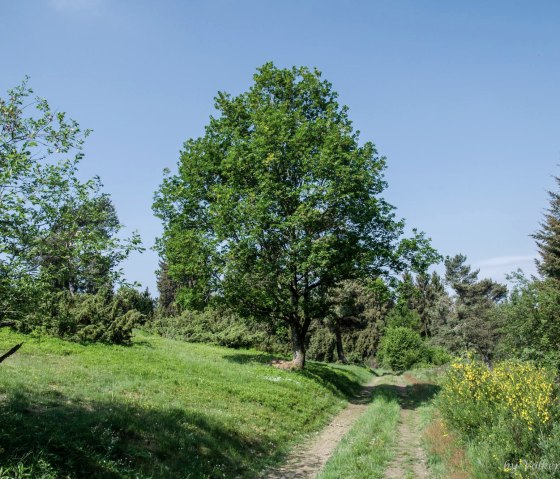 Historische schoolroute Arft, © Volker Windheuser