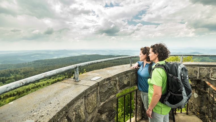 Deux personnes se tiennent sur une tour d'observation et regardent au loin un paysage boisé.