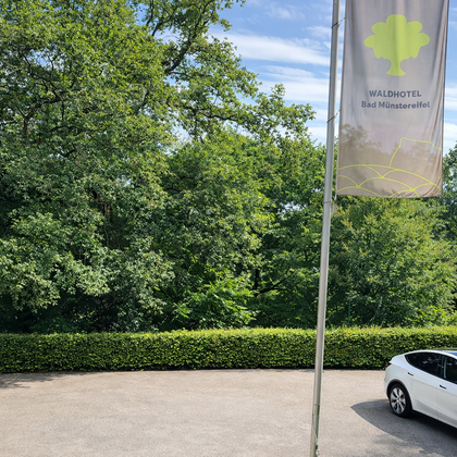 Eine helle, grüne Landschaft mit vielen Bäumen und einem Parkplatz. Ein weißes Auto steht vor einem Schild des Waldhotels.