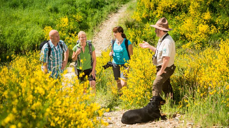 A group of hikers stands on a path surrounded by yellow flowers. A guide is explaining something while a dog sits next to him.
