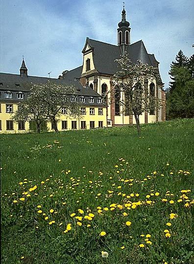Un bâtiment historique avec un château d'eau distinctif et de belles fenêtres. Au premier plan, des pissenlits jaunes fleurissent sur une pelouse verte.