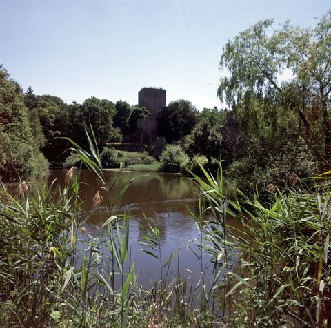 Un étang avec des roseaux au premier plan et les ruines d'un château en arrière-plan.