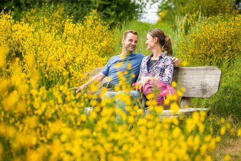A couple sits on a bench surrounded by yellow broom.