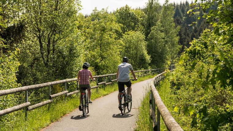 Zwei Radfahrer auf einem asphaltierten Weg, umgeben von grünen Bäumen.
