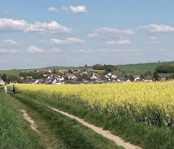 Vue sur Wierschem Traumpf. Panorama du château d'Eltz