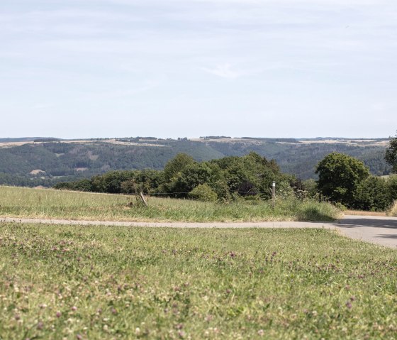 Heggenpad Eicherscheid, © Eifel Tourismus GmbH, Tobias Vollmer
