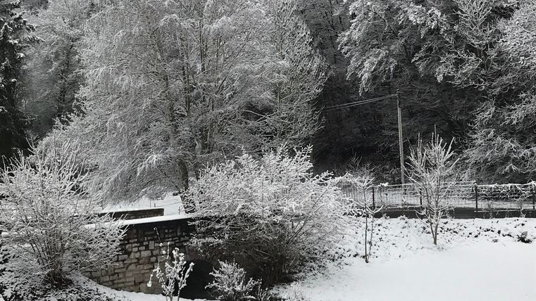Hiver dans l'Eifel