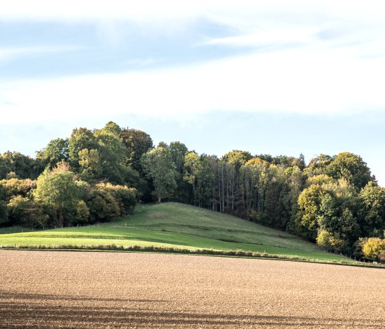 Green hills and trees in Bitburger LandGang, Oberweis, under a blue sky with white clouds., © TI Bitburger Land