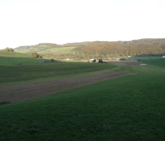 Vue sur la vaste plaine alluviale de l'Enz près de Mettendorf, © Felsenland Südeifel Tourismus GmbH, Christian Calonec-Rauchfuss